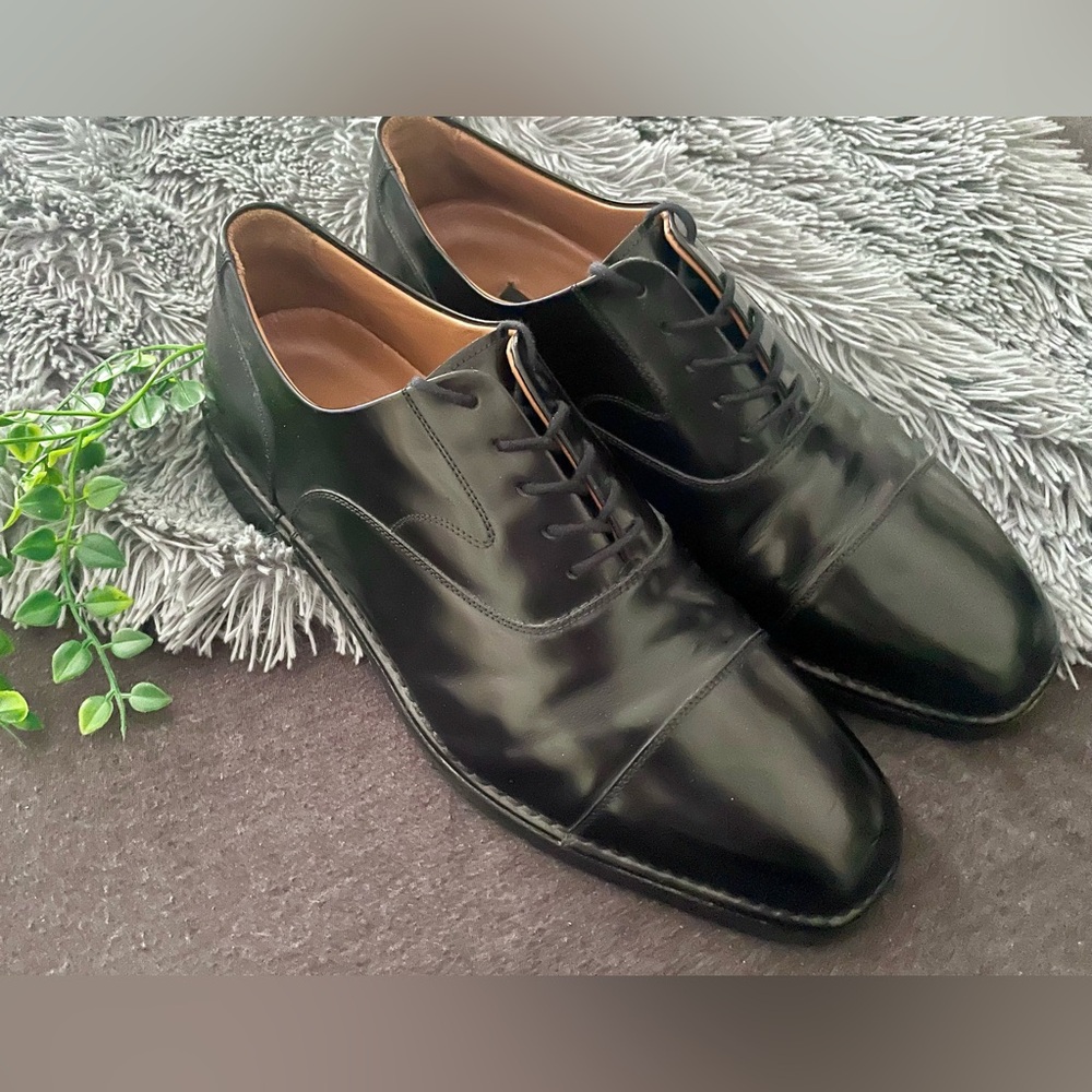 🥃 Mens Dress Oxford Shoes by Rockport 🥃